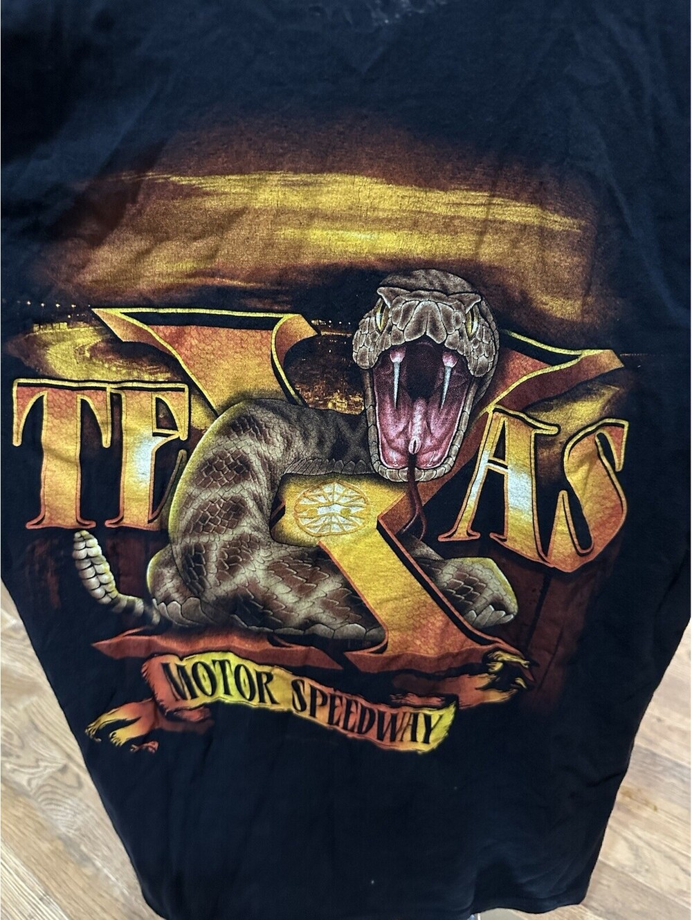 Y2K NASCAR Texas Motor Speedway Snake Cobra Big Back Graphic Tee Chase M